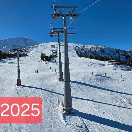 Harriet Hill Designer