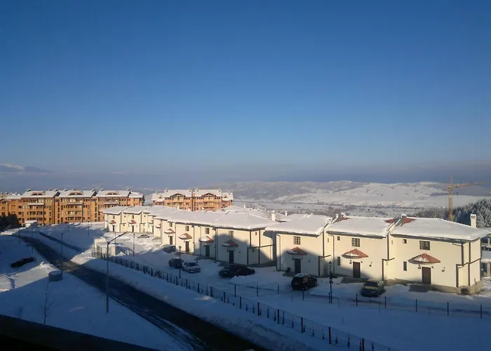 Harriet Hill Designer * 반스코