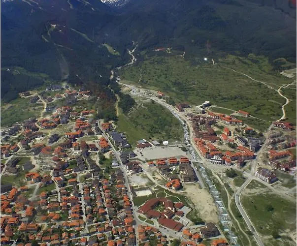 Harriet Hill Designer Bansko